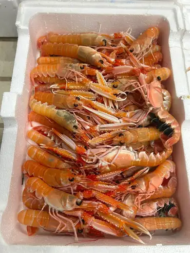 Καραβίδες / Langoustines