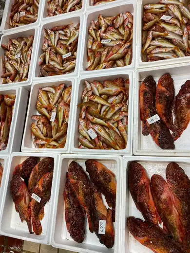 Κουτσομούρες και Σκορπίνες / Red mullet and scorpionfish